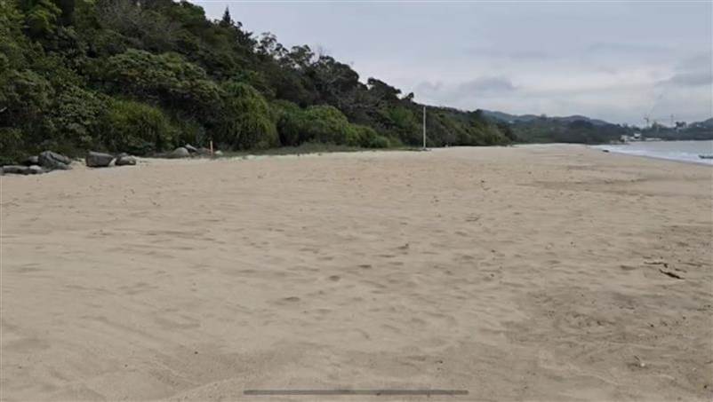 A sandy beach with trees in the background

AI-generated content may be incorrect.